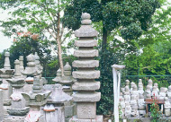 写真: 鷲林寺の石造七重塔 写真: 鷲林寺の石造七重塔