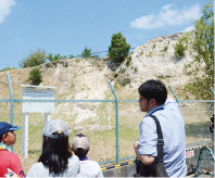 写真: 満池谷層の植物遺体包含層 写真: 満池谷層の植物遺体包含層