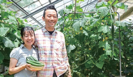 写真: 地元野菜の生産農家 写真: 地元野菜の生産農家