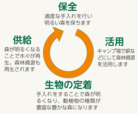 図:保全…適度な手入れを行い明るい森を保ちます/活用…キャンプ場で薪などにして森林資源を活用します/生物の定着…手入れをすることで森が明るくなり、動植物の種類が豊富な豊かな森になります/供給…森が明るくなることで木々が再生。森林資源も再生されます 図:保全…適度な手入れを行い明るい森を保ちます/活用…キャンプ場で薪などにして森林資源を活用します/生物の定着…手入れをすることで森が明るくなり、動植物の種類が豊富な豊かな森になります/供給…森が明るくなることで木々が再生。森林資源も再生されます