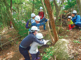写真:保全活動 写真:保全活動