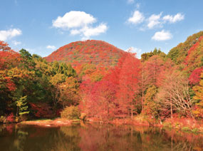 写真:みくるま池と紅葉の甲山 写真:みくるま池と紅葉の甲山