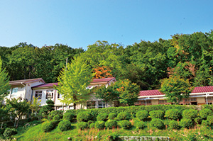 写真:船坂里山学校 写真:船坂里山学校