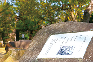 写真：西田公園万葉植物苑