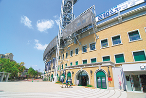 写真:阪神甲子園球場 写真:阪神甲子園球場