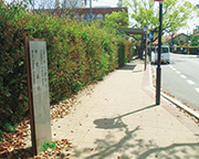 写真:上甲東園バス停付近 写真:上甲東園バス停付近