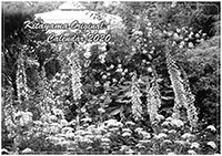 写真:北山緑化植物園オリジナルカレンダー 写真:北山緑化植物園オリジナルカレンダー