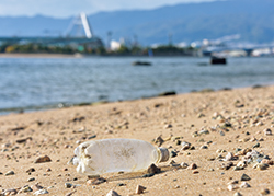 画像：浜辺のごみ