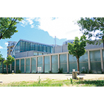 写真：西宮市貝類館