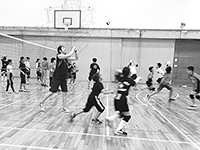 写真：西宮市バレーボール協会