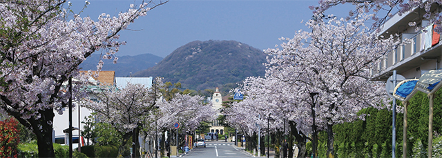 写真:関西学院周辺 写真:関西学院周辺