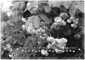 写真:北山緑化植物園オリジナルカレンダー 写真:北山緑化植物園オリジナルカレンダー