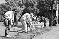 写真:市内の公園や道路上の散乱ごみを拾う様子 写真:市内の公園や道路上の散乱ごみを拾う様子