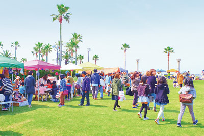 写真：芝フェス