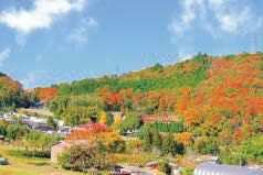 写真：船坂の里山