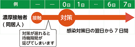 画像：（例）濃厚接触者（同居人）…感染対策を講じた日の翌日から7日間自宅待機を（対策が遅れると待機期間が延びてしまいます）