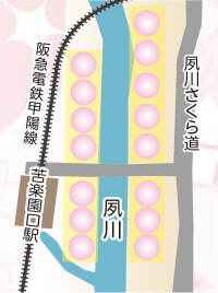 イメージ:夙川両岸の桜並木のライトアップ場所 イメージ:夙川両岸の桜並木のライトアップ場所