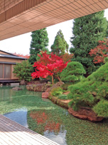 写真:紅葉も楽しむことができる庭園 写真:紅葉も楽しむことができる庭園