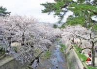写真:夙川公園 写真:夙川公園