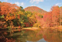 写真:紅葉も楽しむことができる庭園 写真:紅葉も楽しむことができる庭園