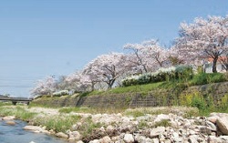 写真：有馬川緑道（山口町）