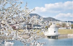 写真:ニテコ池(満池谷町) 写真:ニテコ池(満池谷町)