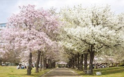 写真:海辺の道公園(西宮浜) 写真:海辺の道公園(西宮浜)