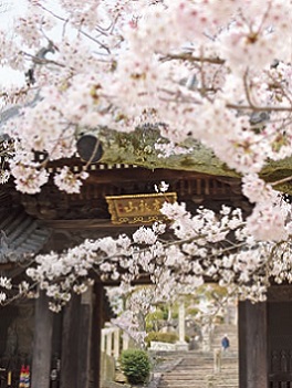写真:神呪寺(甲山町) 写真:神呪寺(甲山町)