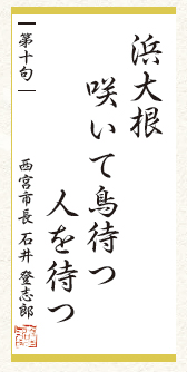 画像:今月の一句 画像:今月の一句