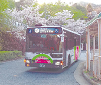 写真:さくらやまなみバス