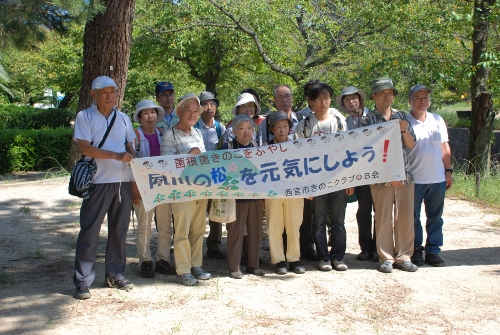 夙川における菌根菌を活用した樹木の健全育成