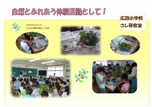 広田小学校さし芽教室