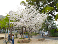 写真：六湛寺公園