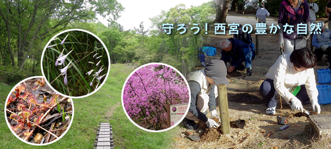 西宮の豊かな自然-イメージ