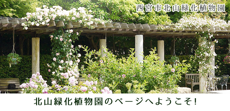 北山緑化植物園