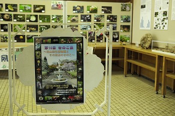 展示風景