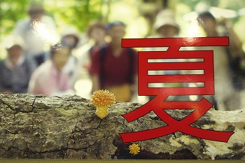 春夏秋冬のきのこの写真を多数展示しています