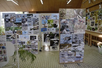 展示風景