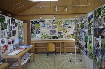 展示風景