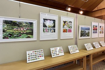 展示内容