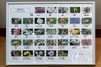 展示内容