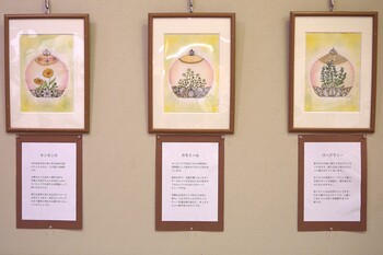 展示風景