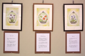 展示風景