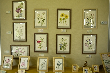 水彩画作品
