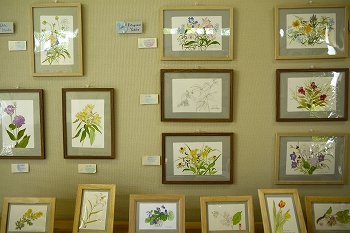 水彩画作品