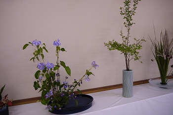 展示風景