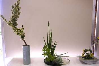 展示作品