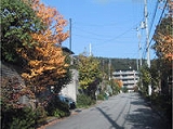 東山