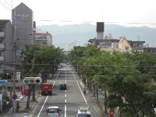 けやき散歩道