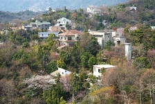 甲陽園目神山地区まちづくり協議会の画像1